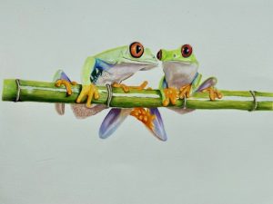 Tree Frogs