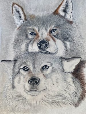 Two wolves