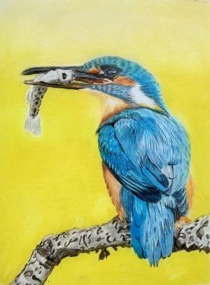 Kingfisher with Fish