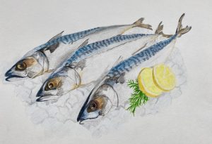 Mackerel on a bed of ice