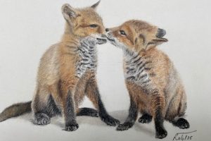 Fox cubs